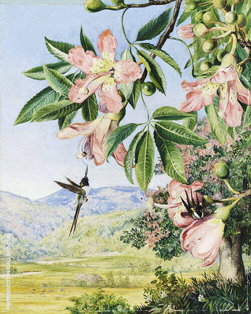 Foliage and Flowers of a Coral Tree and Double Crested Humming Birds Brazil | Oil Painting Reproduction
