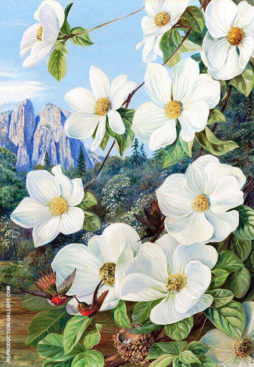 Foliage and Flowers of The Californian Dogwood and Humming Birds | Oil Painting Reproduction
