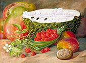 Fruit Grown in The Seychelles 1883 By Marianne North