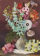 Green Flowered Ixia and Other Cape Singularities By Marianne North