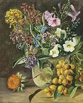 Group of Brazilian Forest Wild Flowers and Berries By Marianne North