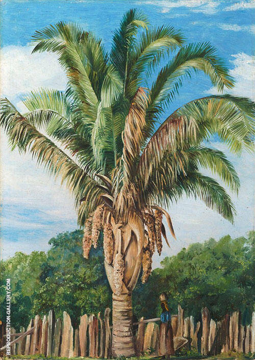 Indian Palm at Sette Lagoa Brazil 1880 | Oil Painting Reproduction