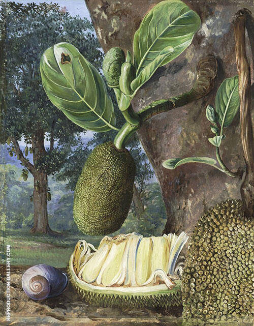 Jak Fruit Singapore by Marianne North | Oil Painting Reproduction