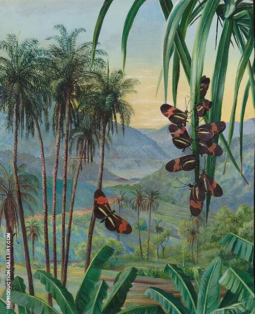 Landscape at Morro Velho Brazil 1880 By Marianne North