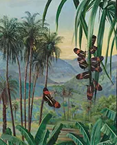 Landscape at Morro Velho Brazil 1880 By Marianne North