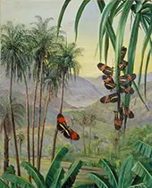 Landscape at Morro Velho Brazil 1880 By Marianne North