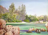 Life on The Coast of Praslin Seychelles 1883 By Marianne North