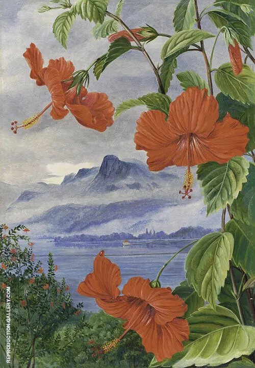 Mandrinette and Mountain Home of The Pitcher Plant in The Distance By Marianne North