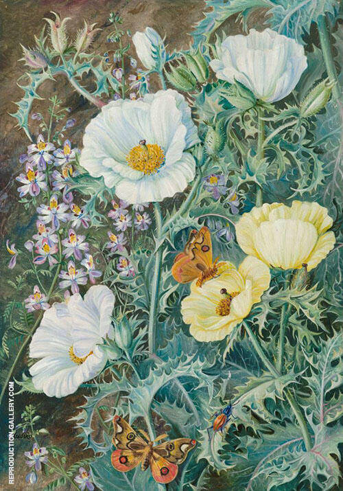 Mexican Poppies Chilian Schizanthus and Insects | Oil Painting Reproduction