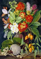 New Zealand Flowers and Fruit By Marianne North