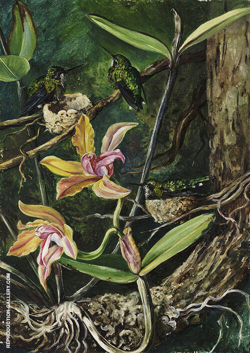 Orchid and Humming Birds Brazil | Oil Painting Reproduction