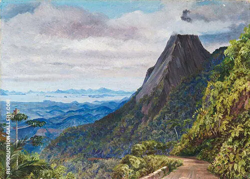 Organ Peak at Theresoplis and Bay of Rio Below 1880 By Marianne North