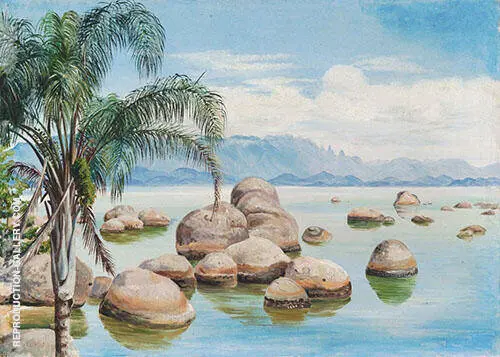 Palm Trees and Boulders in The Bay of Rio Brazil 1880 By Marianne North