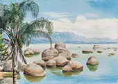 Palm Trees and Boulders in The Bay of Rio Brazil 1880 By Marianne North