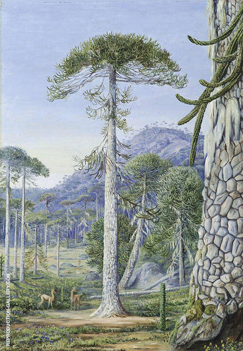 Puzzle Monkey Trees and Guanacos Chili | Oil Painting Reproduction