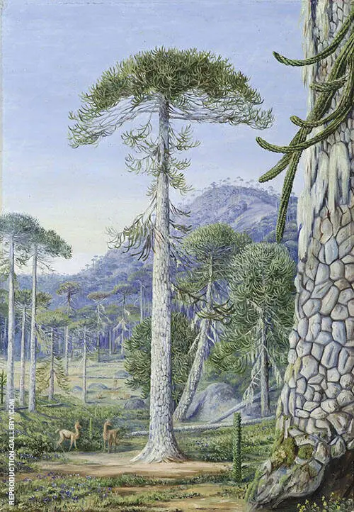 Puzzle Monkey Trees and Guanacos Chili By Marianne North