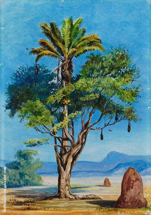 Scotchman Hugging a Creole Brazil 1880 By Marianne North