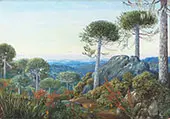 Seven Snowy Peaks Seen from The Araucaria Forest Chili 1880 By Marianne North