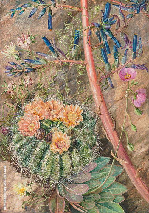 Some Flowers of The Sterile Region of Cauquenas Chili 1880 | Oil Painting Reproduction