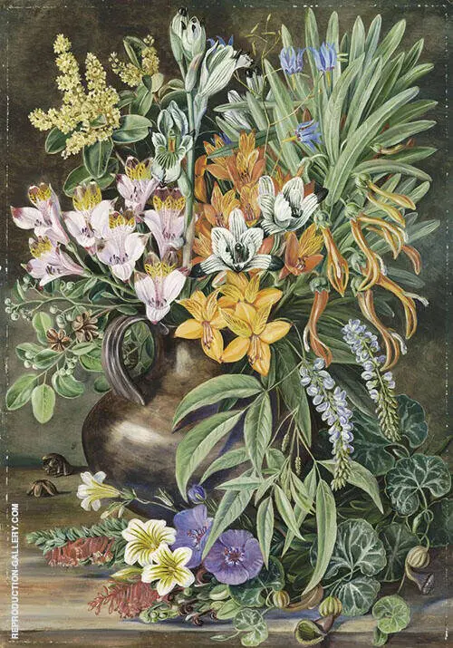 Some Wild Flowers of Quilpue Chili By Marianne North