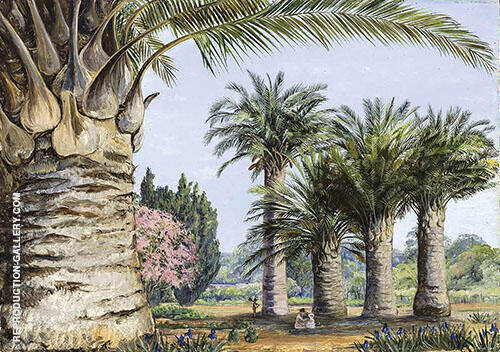 Specimens of The Coquito Palm of Chile in Camden Park New South Wales 1880 | Oil Painting Reproduction