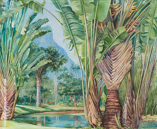 Study of The Travellers Tree of Madagascar in The Botanic Garden of Rio 1880 | Oil Painting Reproduction