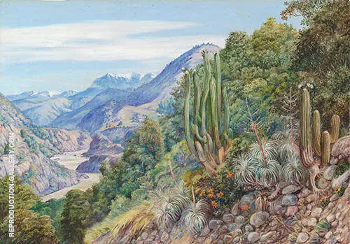 The Baths of Cauquenas in The Cordilleras South of Santiago Chili 1880 By Marianne North
