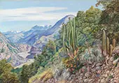 The Baths of Cauquenas in The Cordilleras South of Santiago Chili 1880 By Marianne North