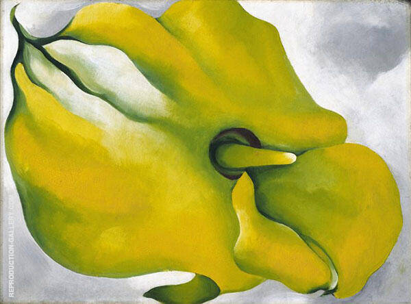 Yellow Calla 1926 by Georgia O'Keeffe | Oil Painting Reproduction