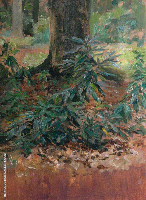 Tree Study by Solomon Joseph Solomon | Oil Painting Reproduction