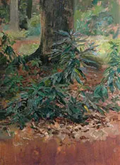 Tree Study By Solomon Joseph Solomon