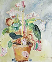 Cyclamen 2 By Isaac Grunewald