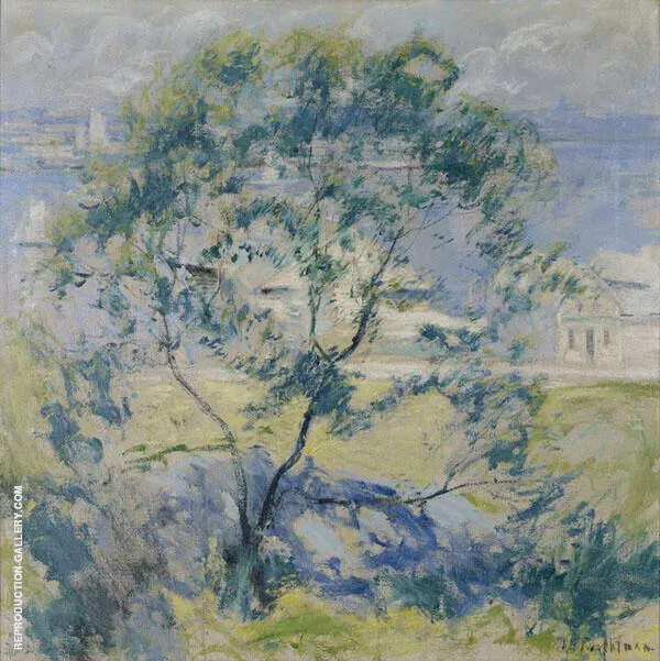 Wild Cherry Trree 1900 By John Henry Twachtman