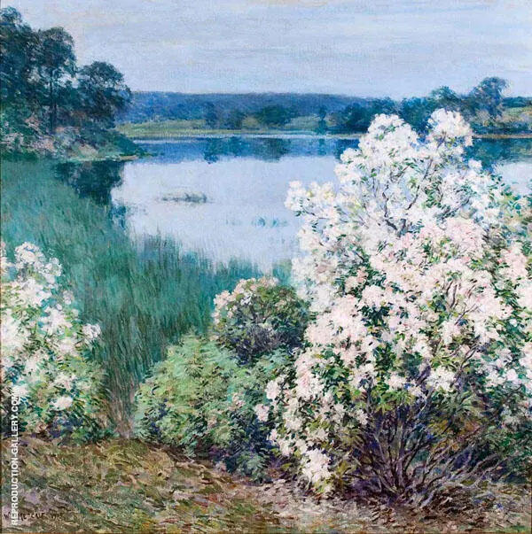 Kalmia 1905 By Willard Leroy Metcalf