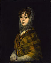 Senora Sabasa Garcia By Francisco Goya