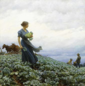 The Cabbage Field By Charles Courtney Curran