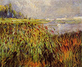 Bulrushes on The Banks of The Seine 1874 By Pierre Auguste Renoir