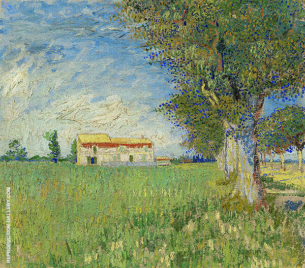 Farmhouse in a Wheat Field by Vincent van Gogh | Oil Painting Reproduction