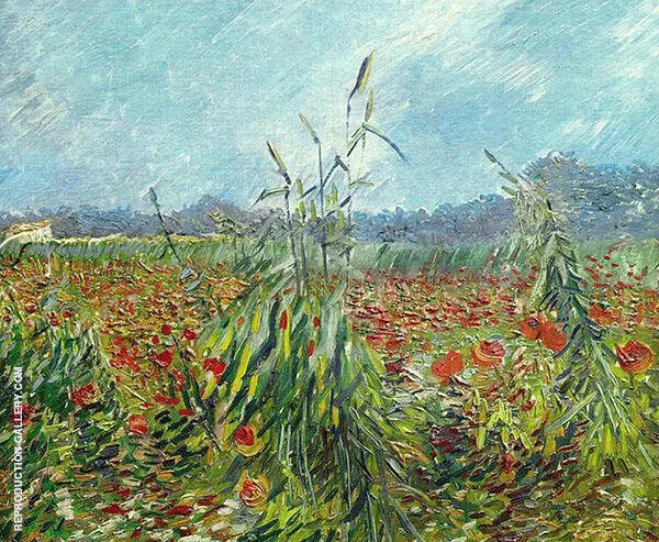 Green Ears of Wheat 1888 By Vincent van Gogh