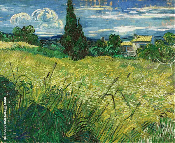 Green Wheat Field with Cypress By Vincent van Gogh