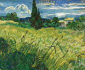Green Wheat Field with Cypress By Vincent van Gogh