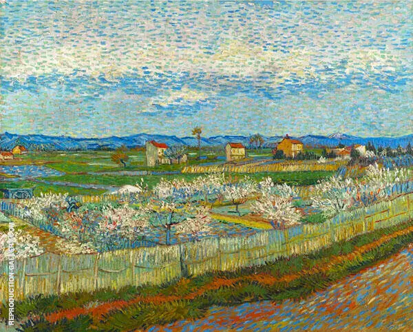 La Crau with Peach Trees in Blossom 1889 By Vincent van Gogh