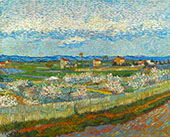 La Crau with Peach Trees in Blossom 1889 By Vincent van Gogh