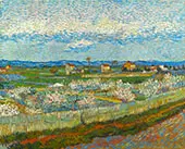 La Crau with Peach Trees in Blossom 1889 By Vincent van Gogh