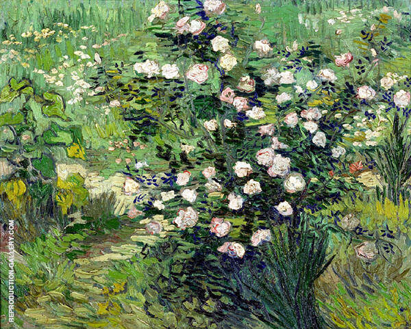 Rosebush in Bloom 1900 by Vincent van Gogh | Oil Painting Reproduction