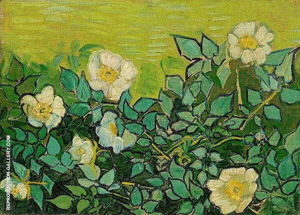 Wild Roses By Vincent van Gogh