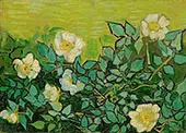 Wild Roses By Vincent van Gogh