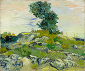 The Rocks c1888 By Vincent van Gogh