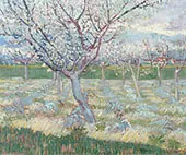 Apricot Trees in Blossom By Vincent van Gogh