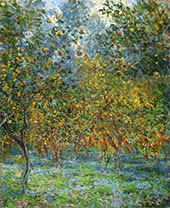 Under the Lemon Trees 1884 By Claude Monet